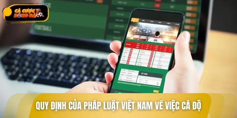 Giải đáp thắc mắc về việc cá độ có hợp pháp không