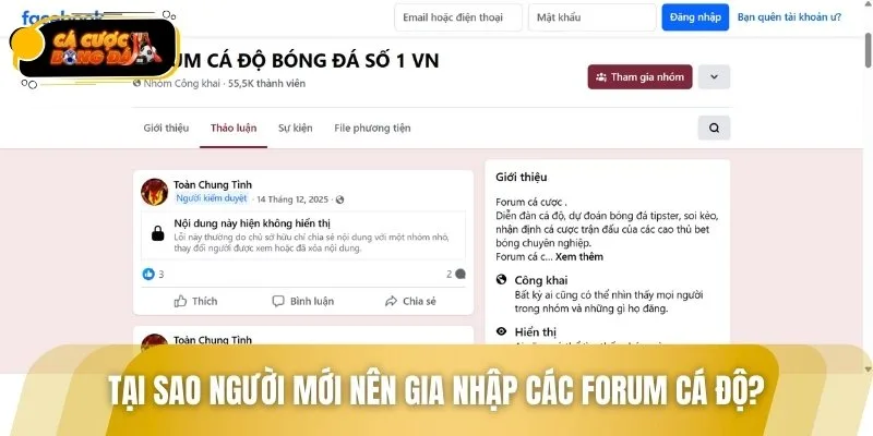 Forum về cá độ giúp người mới tích lũy kinh nghiệm soi kèo