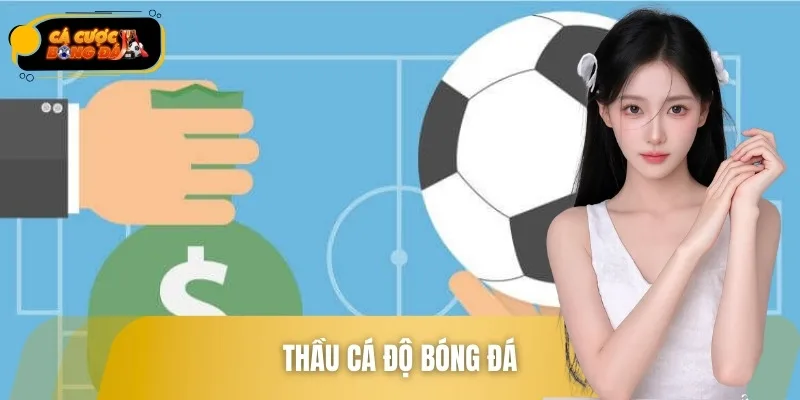 Cách Làm Thầu Cá Độ Bóng Đá Kiếm Hoa Hồng Cao Và Ổn Định