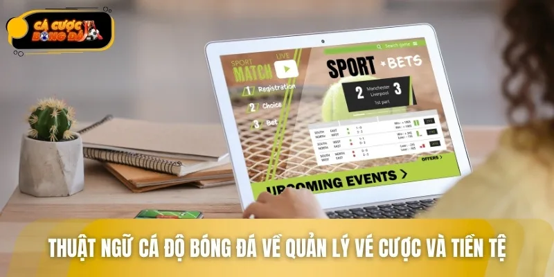 Các thuật ngữ cá độ bóng đá về quản lý nguồn vốn và vé cược