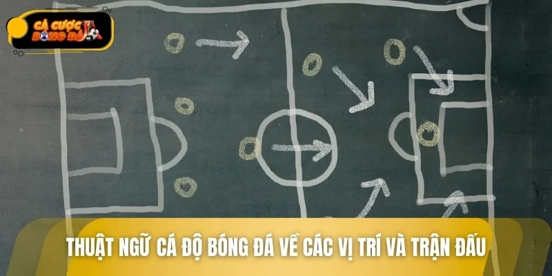Các ký hiệu vị trí cầu thủ và thời gian thi đấu chuẩn