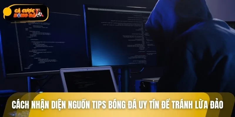Nếu đã biết Tips bóng đá là gì, bạn sẽ dễ nhận diện tips bịp