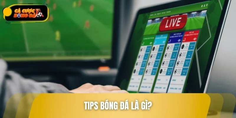 Giải thích khái niệm Tips bóng đá là gì cho tay mơ