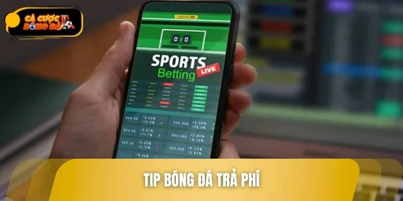 Nếu biết Tips bóng đá là gì, bạn sẽ hiểu về loại trả phí