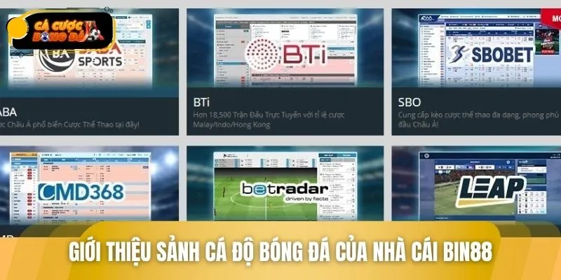 Sức hấp dẫn của sân chơi bóng đá cực lớn