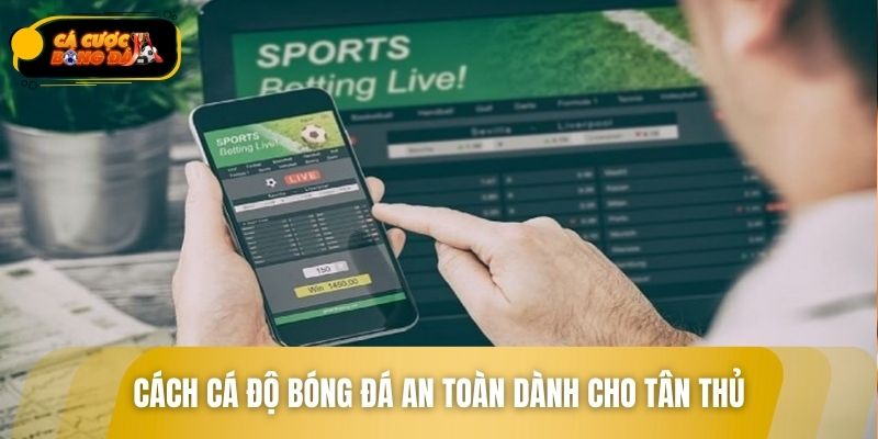 Cách cá độ bóng đá an toàn dành cho tân thủ