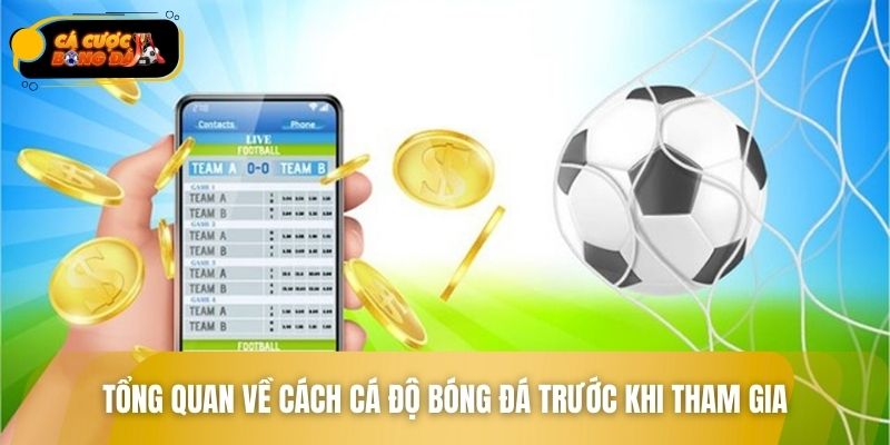 Tổng quan về cách cá độ bóng đá trước khi tham gia