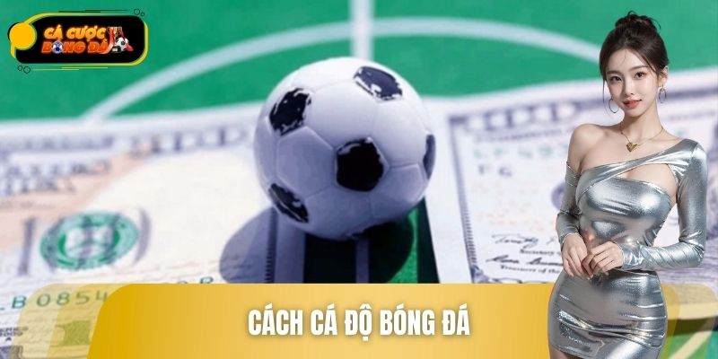 Cách Cá Độ Bóng Đá 99% Có Lãi Tại Trang Cá Cược Bóng Đá
