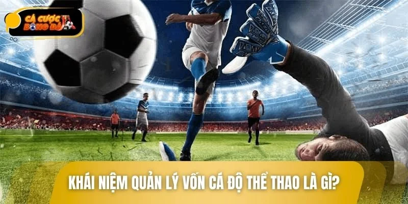 Hiểu đúng về quản lý ngân sách khi chơi cá cược thể thao