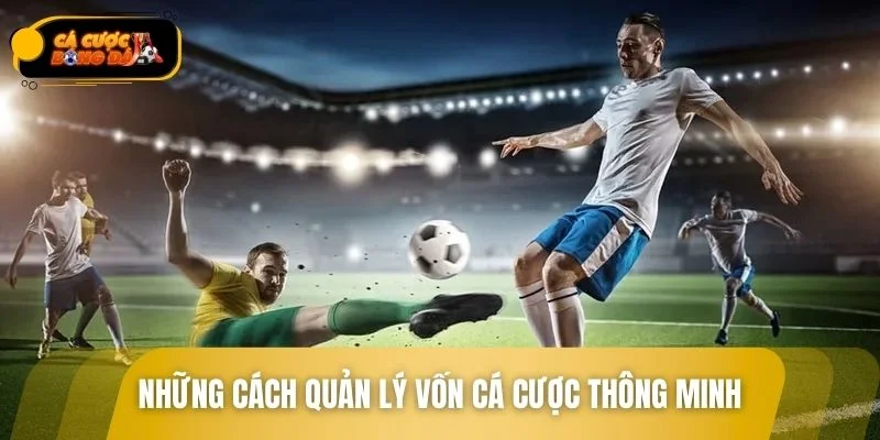 Các cách quản lý vốn cá độ hiệu quả cho tân binh