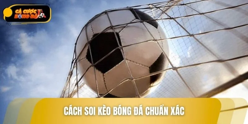 Cách soi kèo bóng đá chuẩn chỉnh như cao thủ