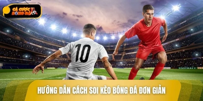 Hướng dẫn cách soi kèo bóng đá cho người mới bắt đầu