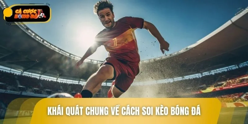 Cách soi kèo bóng đá là gì?