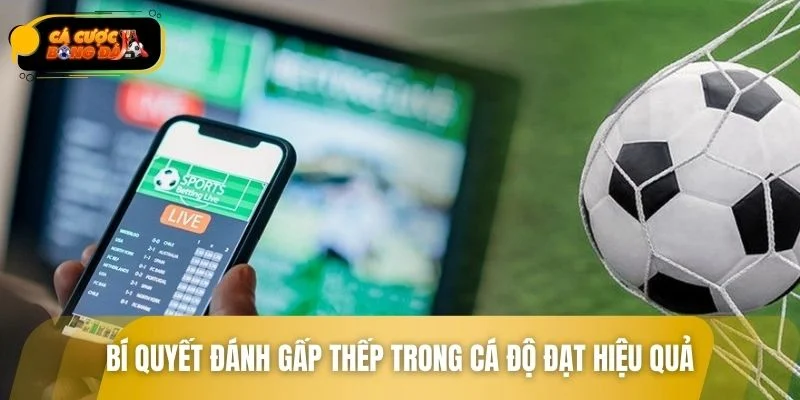 Bí quyết áp dụng cách đánh gấp thếp trong cá độ hiệu quả