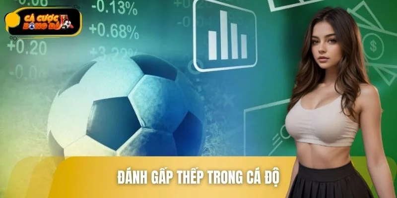 Đánh Gấp Thếp Trong Cá Độ – Chiến Lược Nhân Vốn Nhanh