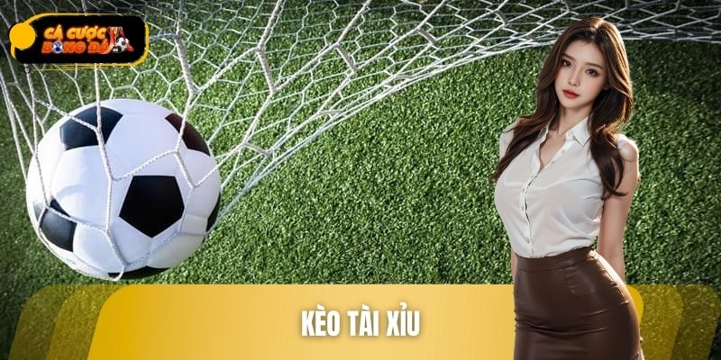 Kèo Tài Xỉu - Dễ Thắng, Ăn Lời Cao Tại Trang Cá Cược Bóng Đá