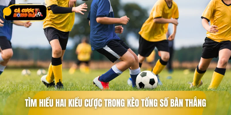 Tìm hiểu hai kiểu cược trong kèo tổng số bàn thắng