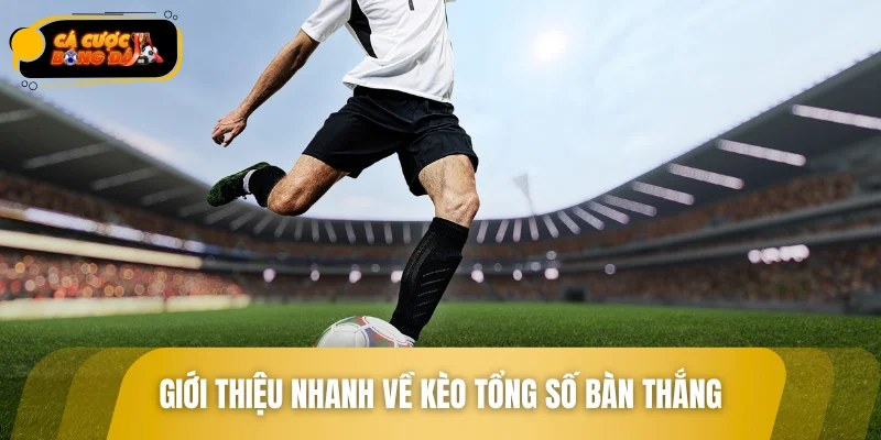 Giới thiệu nhanh về kèo tổng số bàn thắng