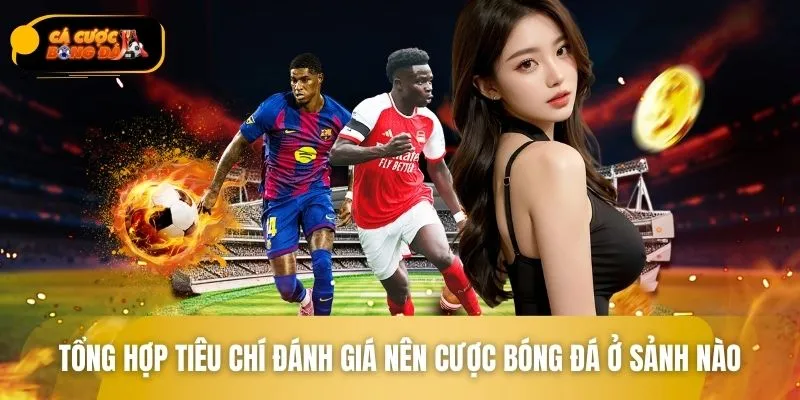 Tìm hiểu và biết nên cược bóng đá ở sảnh nào rất cần thiết