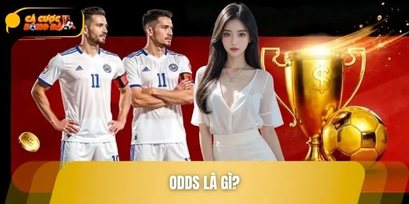 Odds Là Gì? Kiến Thức Và Cách Sử Dụng Trong Cá Cược Bóng Đá