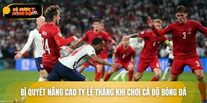 Chia sẻ bí quyết nâng cao tỷ lệ thắng khi cá cược bóng đá