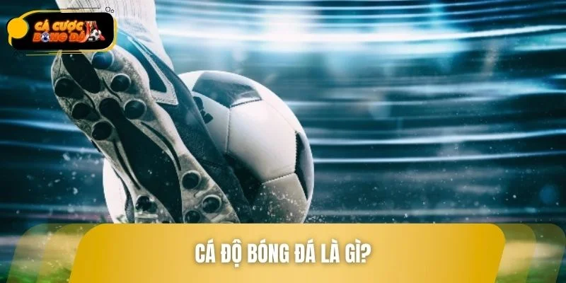 Khái quát cơ bản về cá độ bóng đá