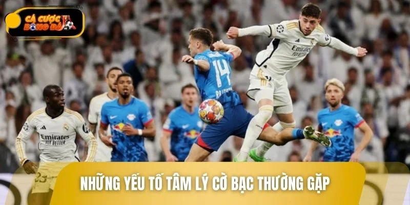 Giữ vững tinh thần khi cá cược để nâng cao hiệu quả đặt cược