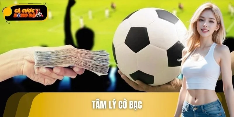 Tâm Lý Cờ Bạc – Cách Làm Chủ Cảm Xúc Để Cá Cược Tỉnh Táo